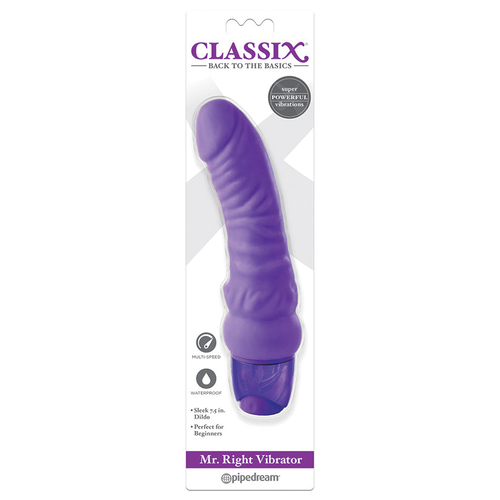 Classix Mr Right Vibrator-Purple - $37.8